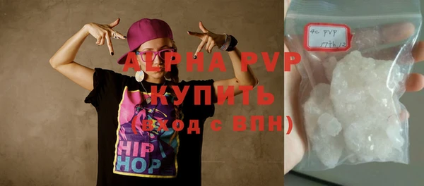 хмурый Алексин