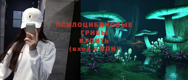 дживик Алексеевка