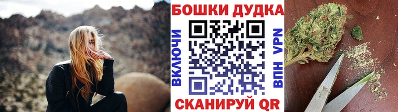 Шишки марихуана планчик  продажа наркотиков  Малаховка 